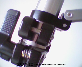 IMG0176A.jpg