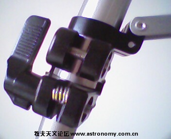 IMG0175A.jpg