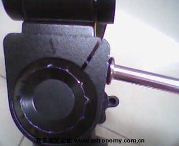 IMG0169A.jpg