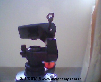 IMG0165A.jpg