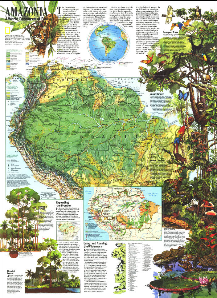 国家地理：亚马孙河流域（1992年）（缩略图）.jpg