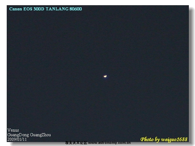 venus02.jpg