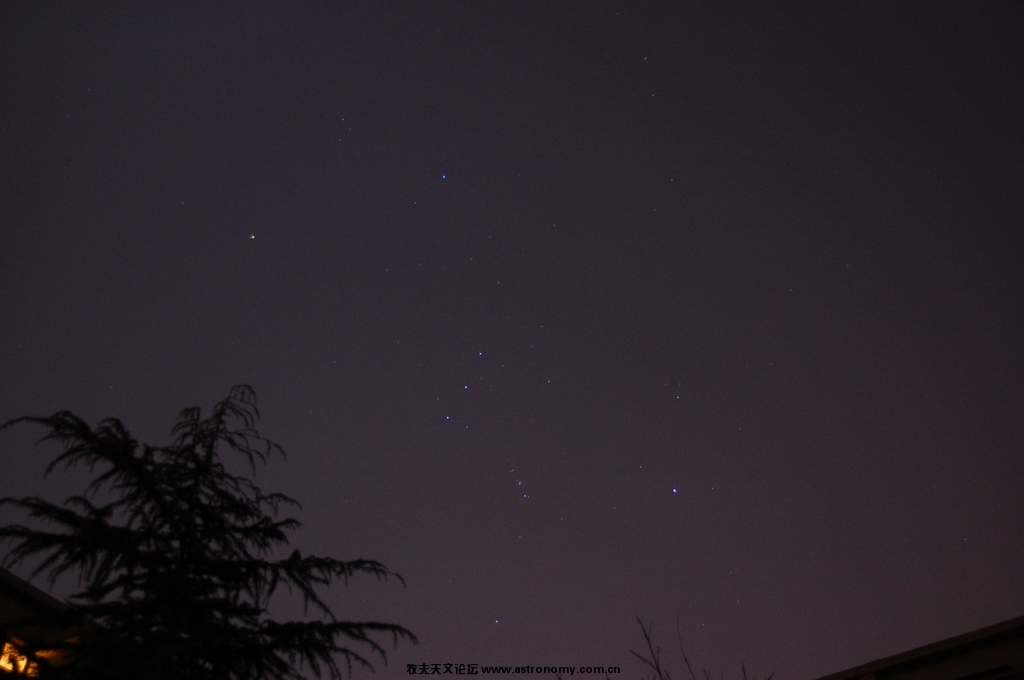 DSC_2555.JPG