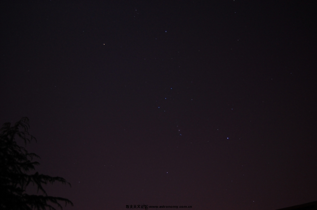 DSC_2559.JPG
