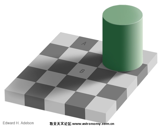 checkershadow_illusion4med.jpg