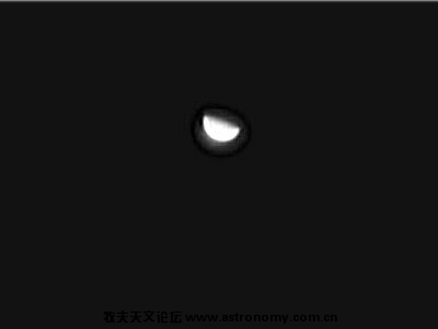 金星3.jpg