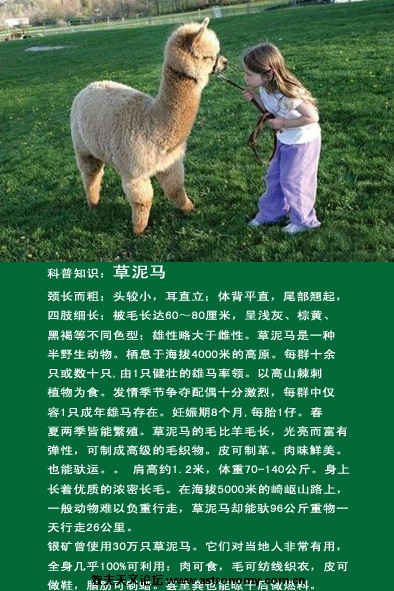 未标题-1 拷贝.jpg