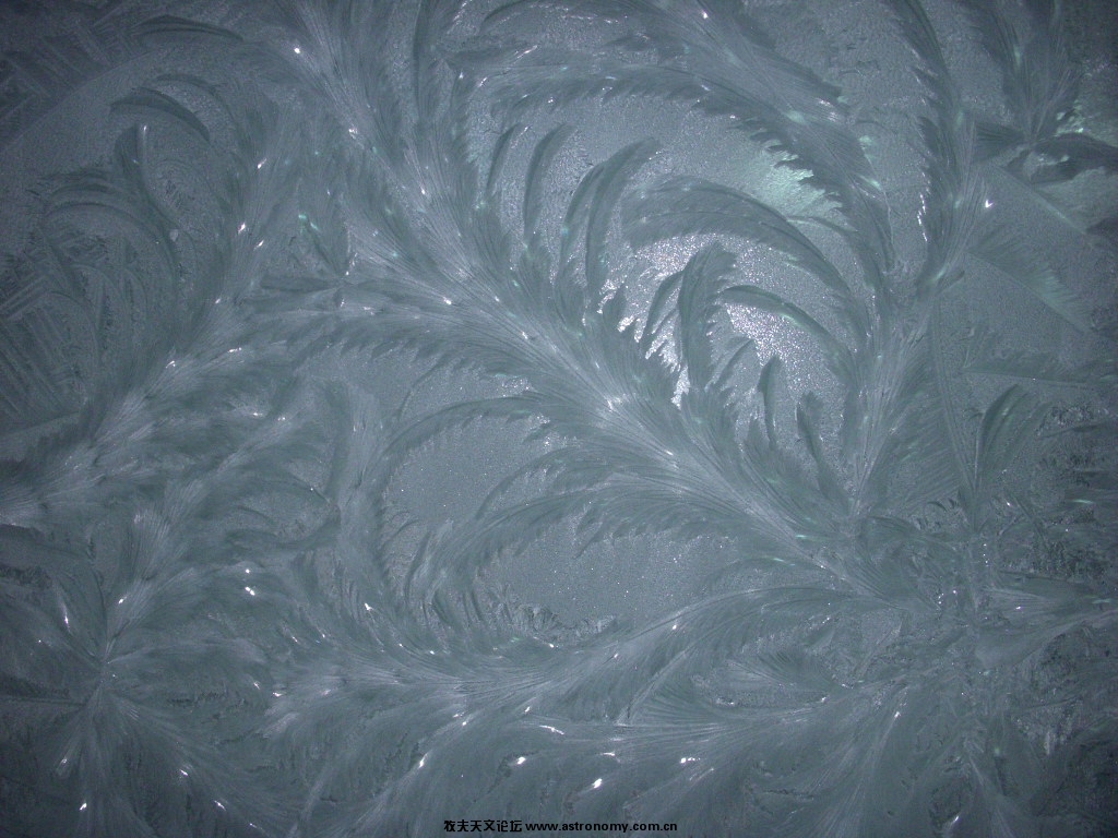 DSCN3832.JPG