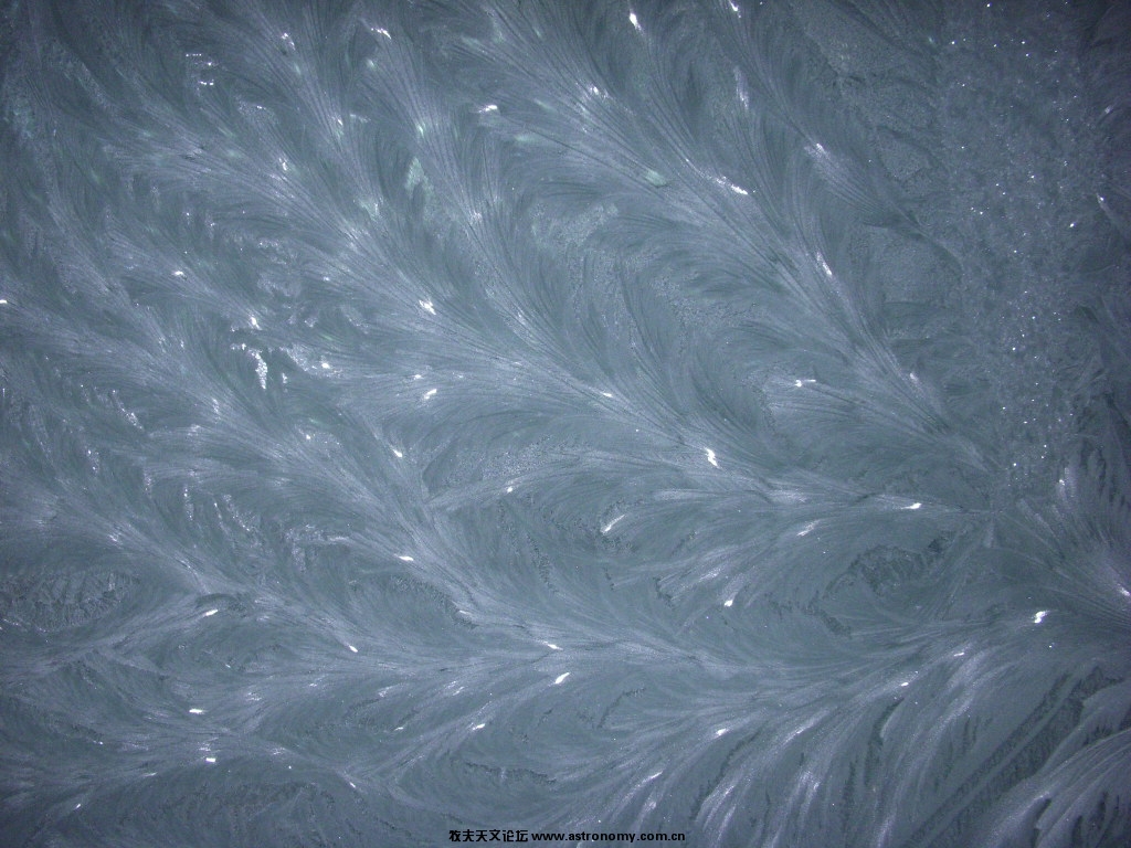 DSCN3830.JPG