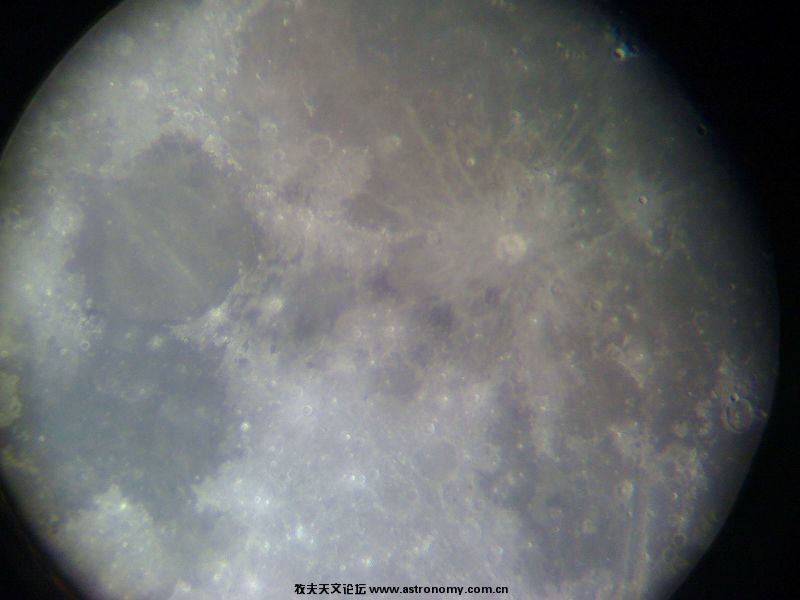 照片 007.jpg