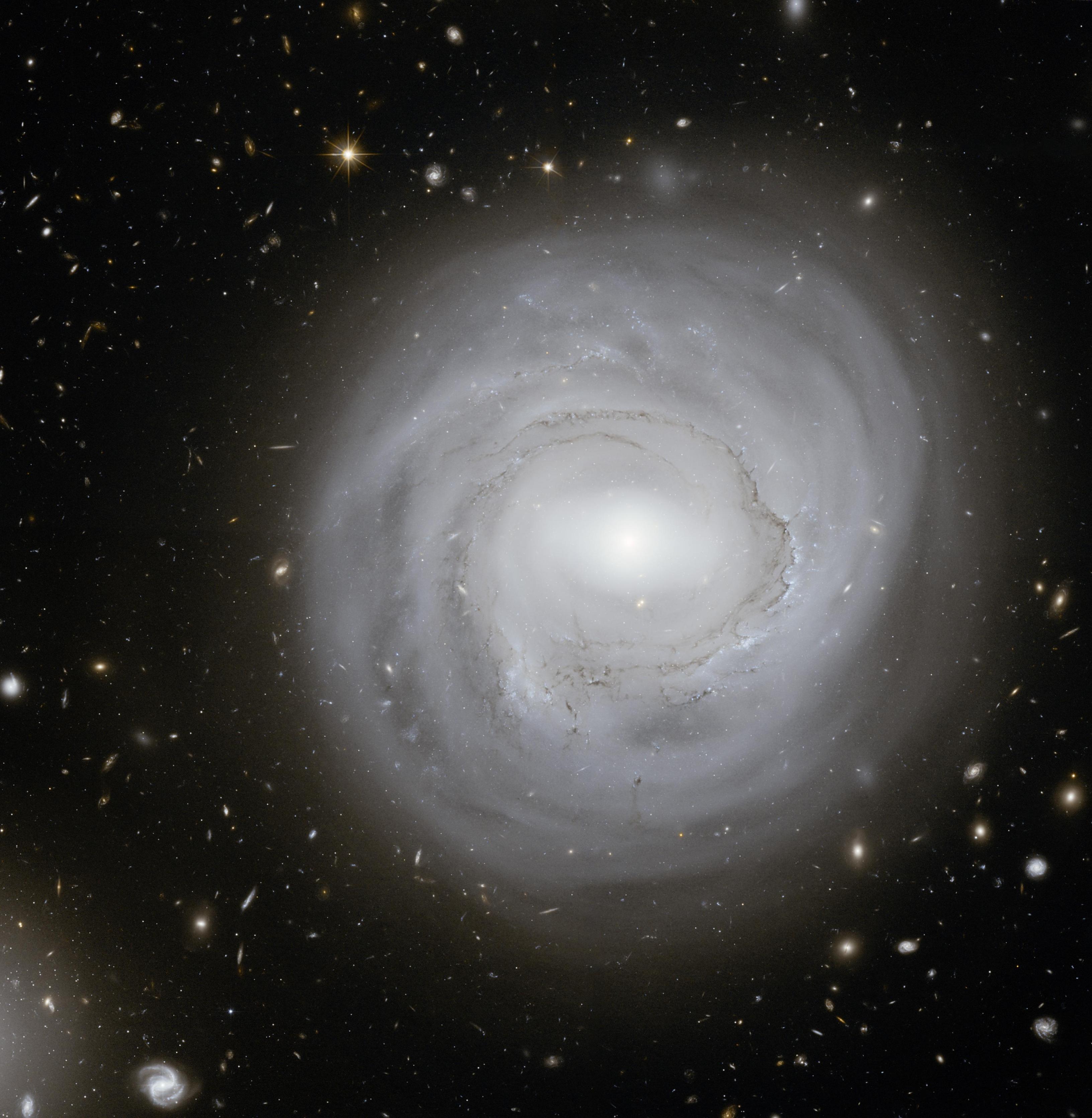 贫血星系:ngc 4921