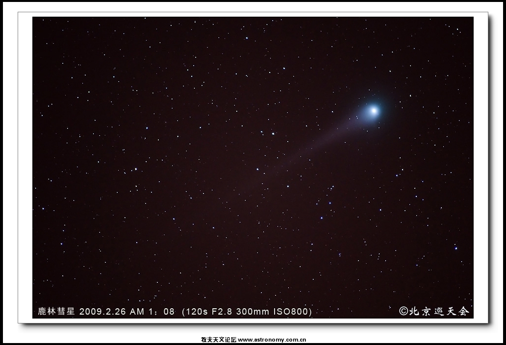 鹿林彗星.jpg
