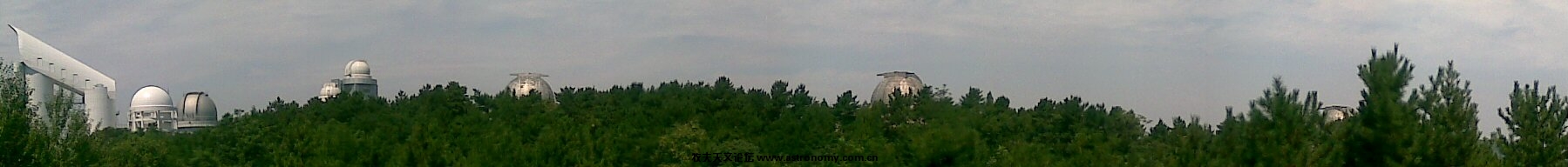 20080805(011).jpg