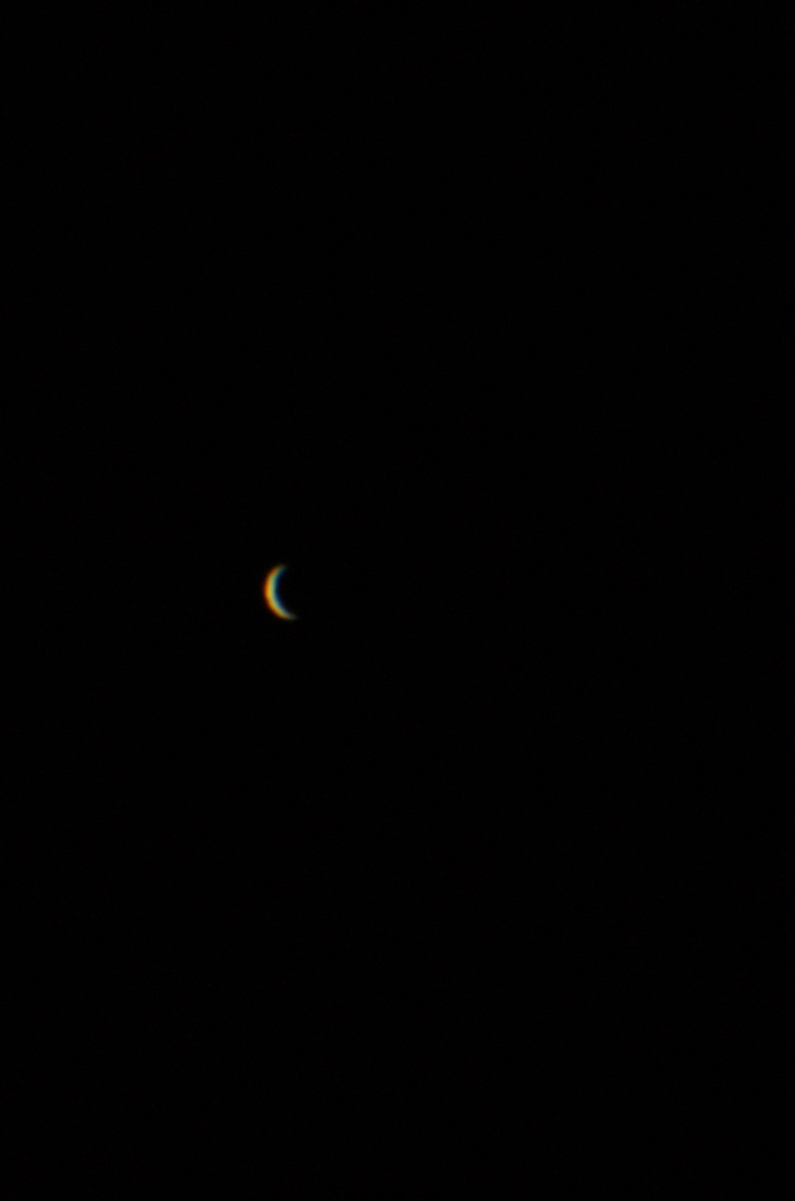 DSC03198.jpg