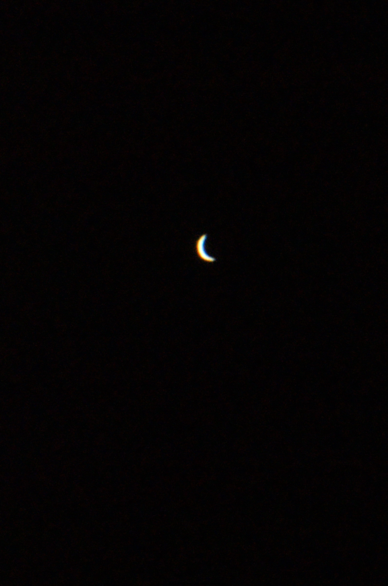 DSC03189.jpg