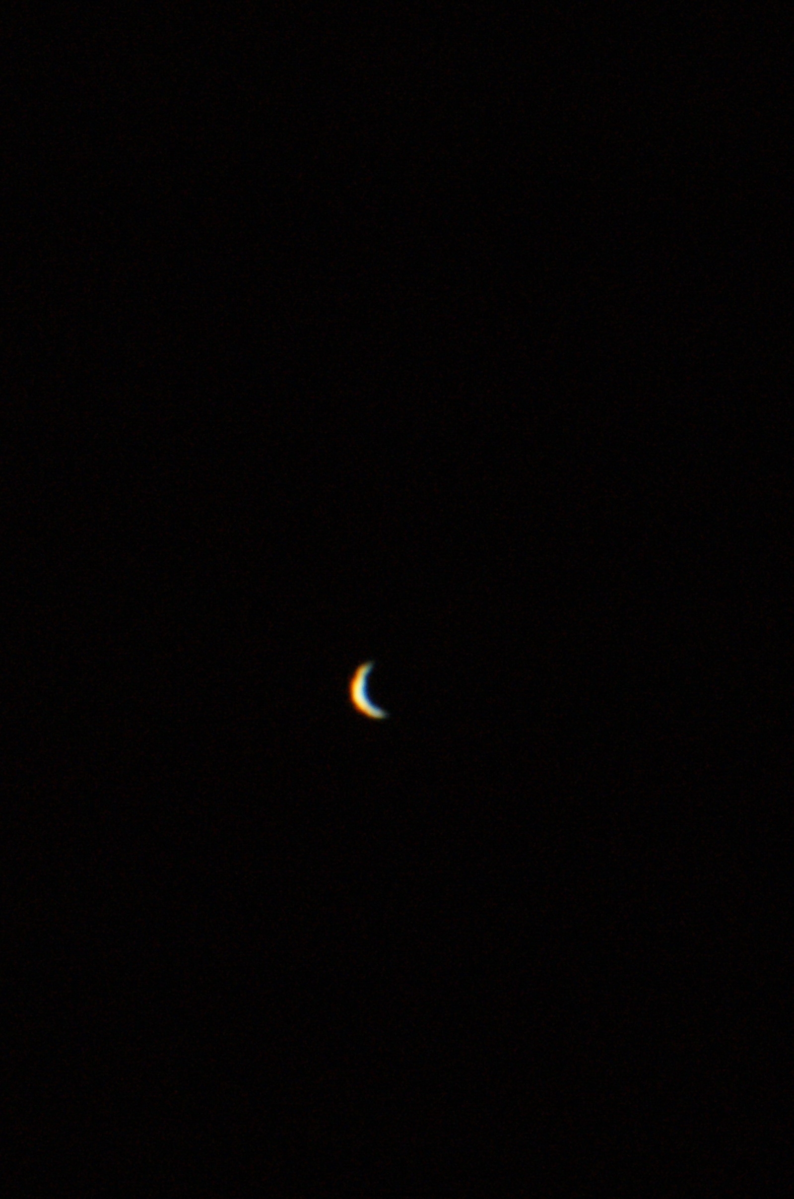 DSC03194.jpg