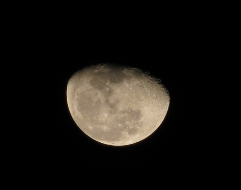 3497840_35454862.jpg