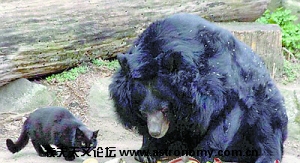 51828c880106m0eq.jpg