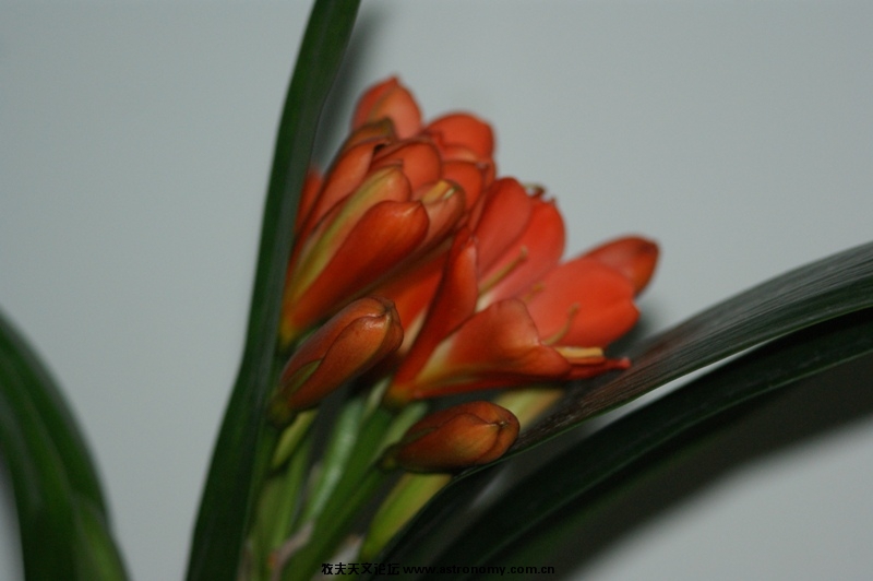 DSC03358.JPG