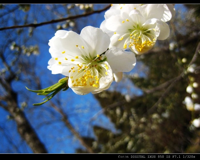 照片 044.jpg