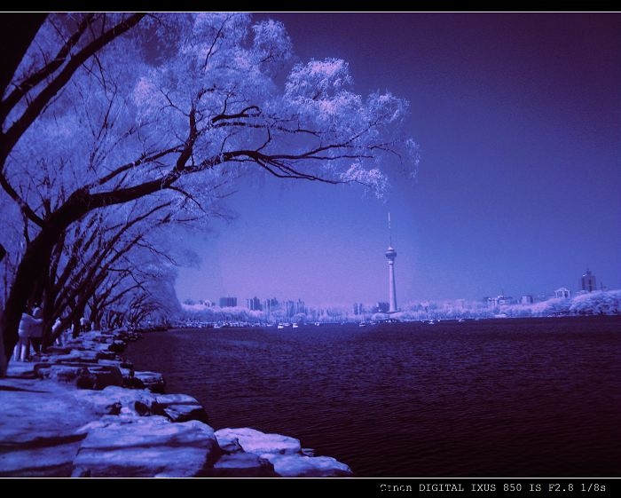 照片 015.jpg