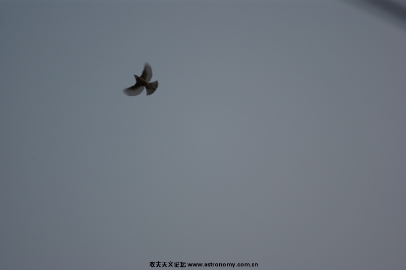 DSC03633.JPG
