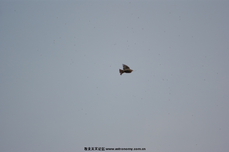 DSC03636.JPG