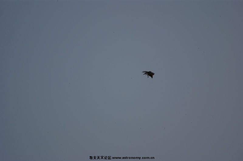 DSC03634.JPG