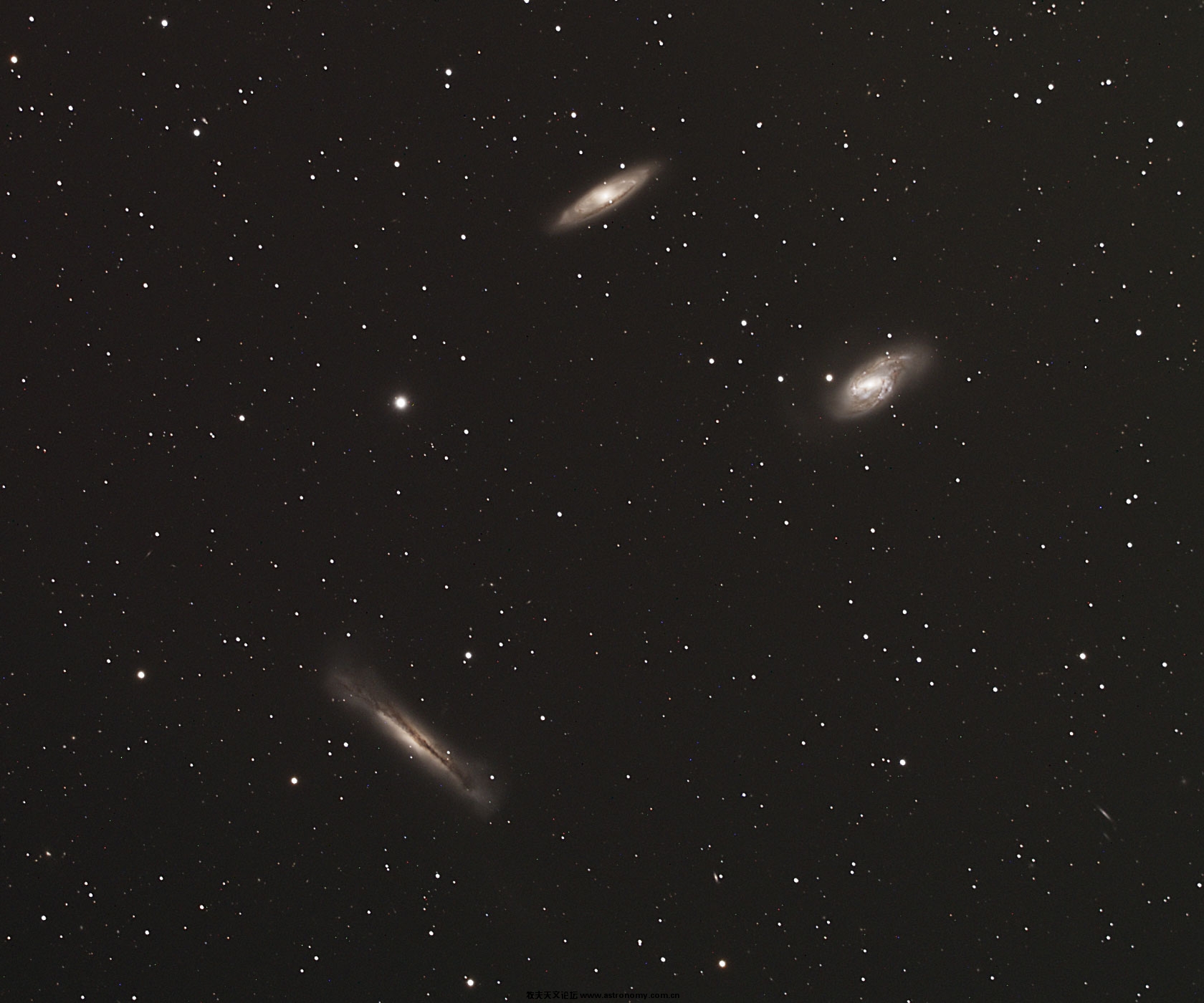 LeoTriplet_sample.jpg
