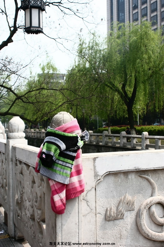 娃娃.JPG