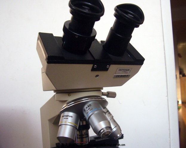 zeiss 012.jpg