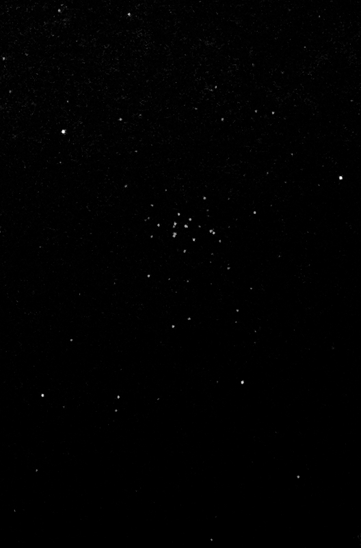 M44.jpg