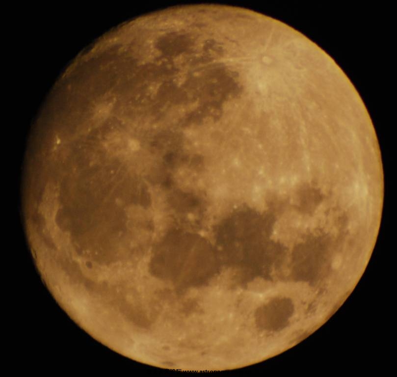 DSC_8379.jpg