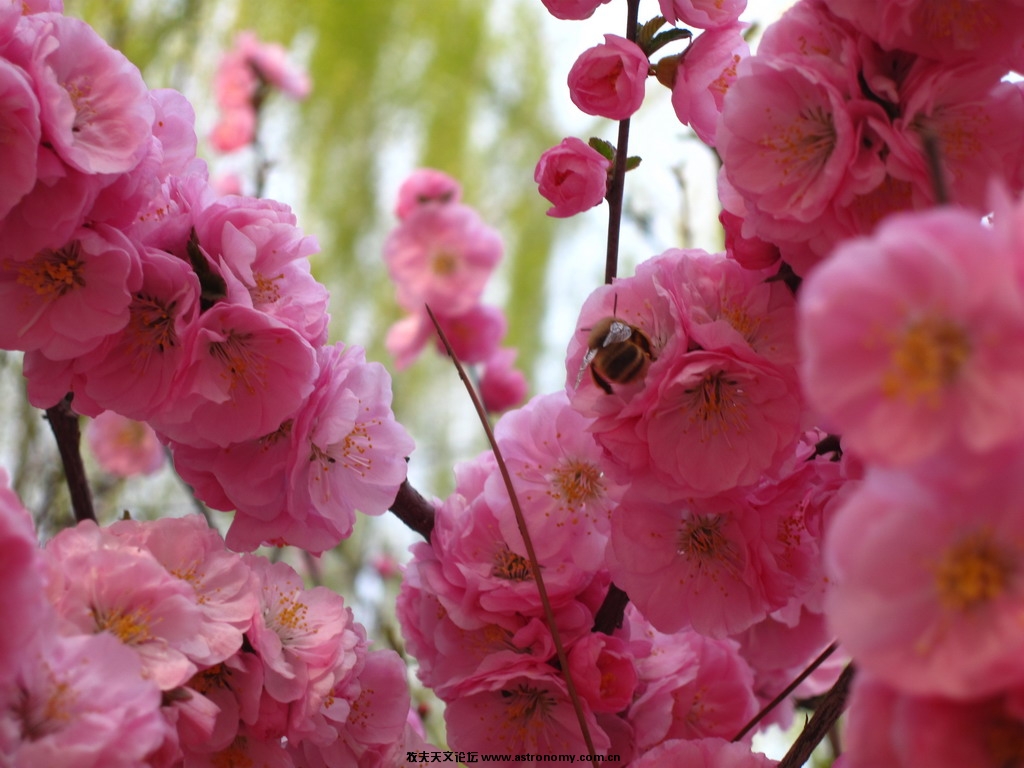 IMG_0034 缩小.jpg