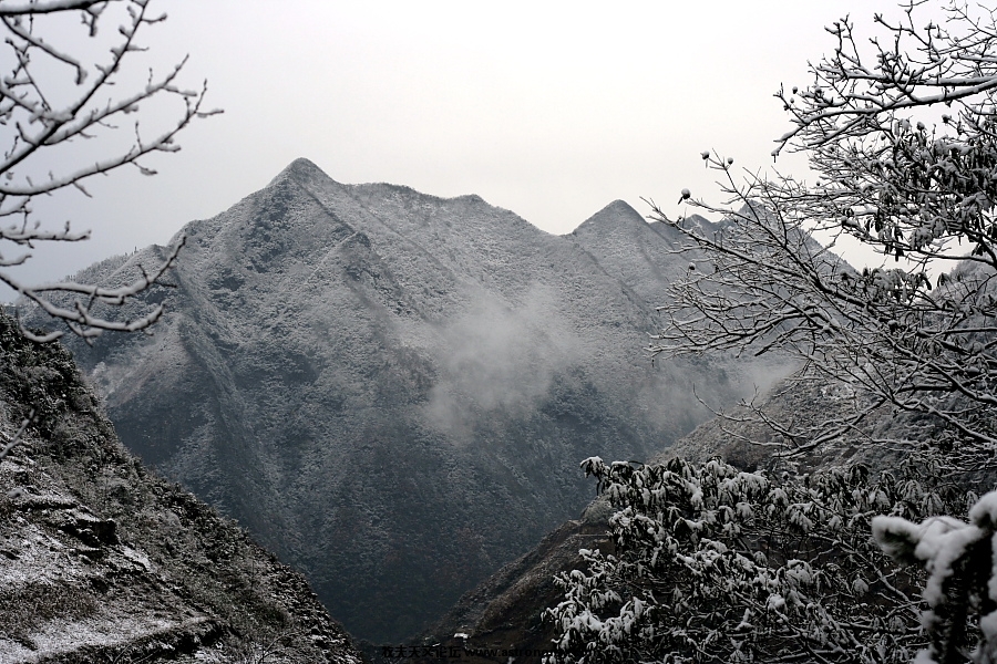 复件 IMG_7401.JPG