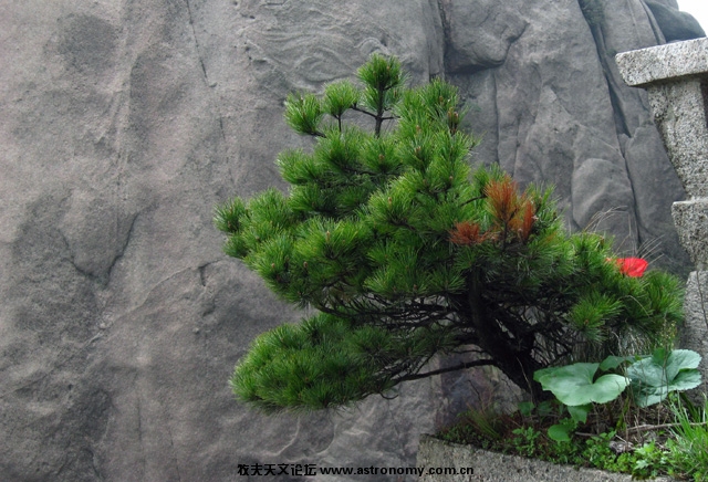 未标题-4.jpg