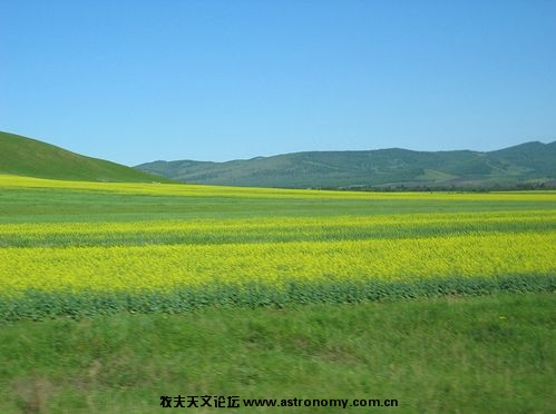 呼伦贝尔东部草原（内蒙古）03.JPG