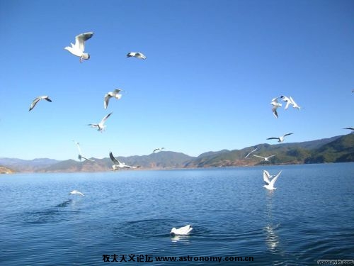 青海湖（青海）03.JPG