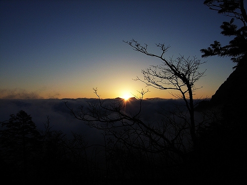 四川峨嵋山01.JPG