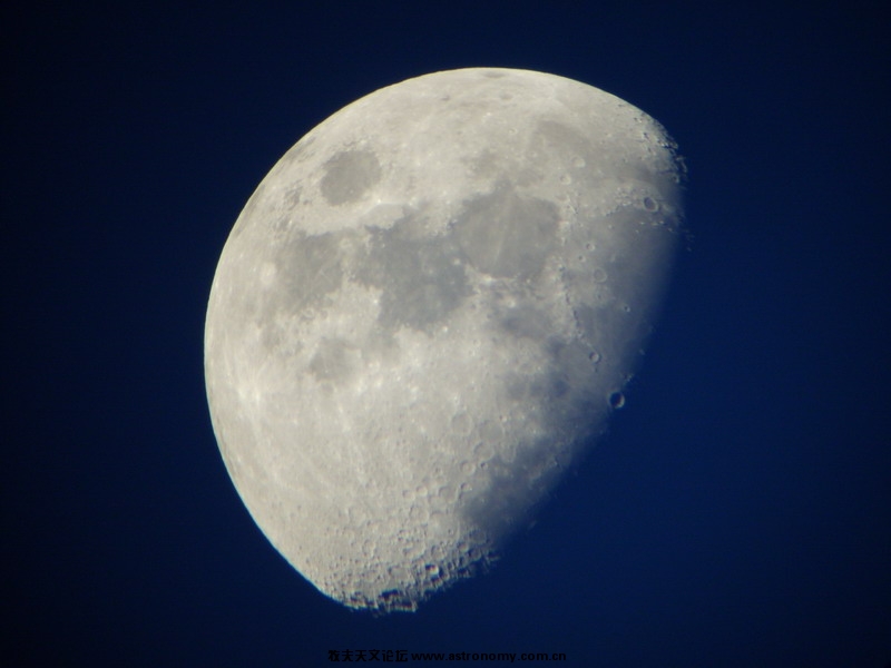 S5001328.jpg