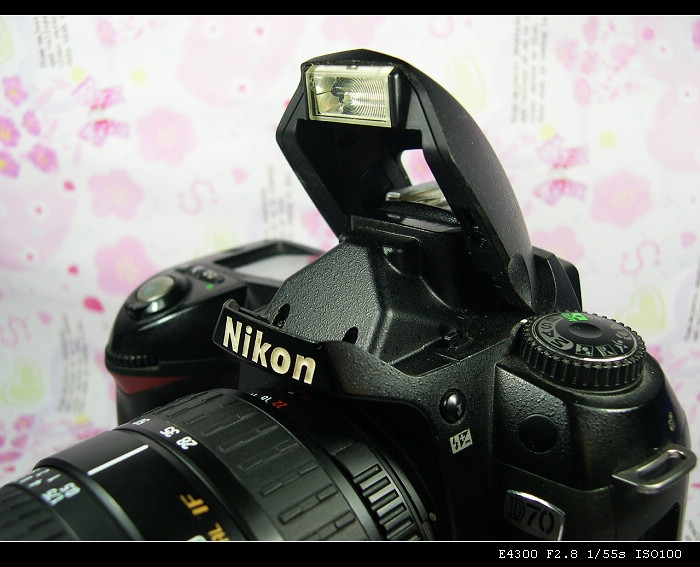 DSCN4408.JPG