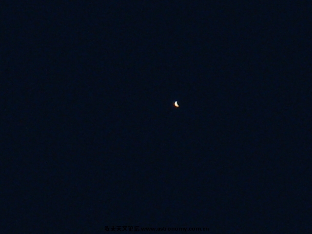 DSC08348.JPG