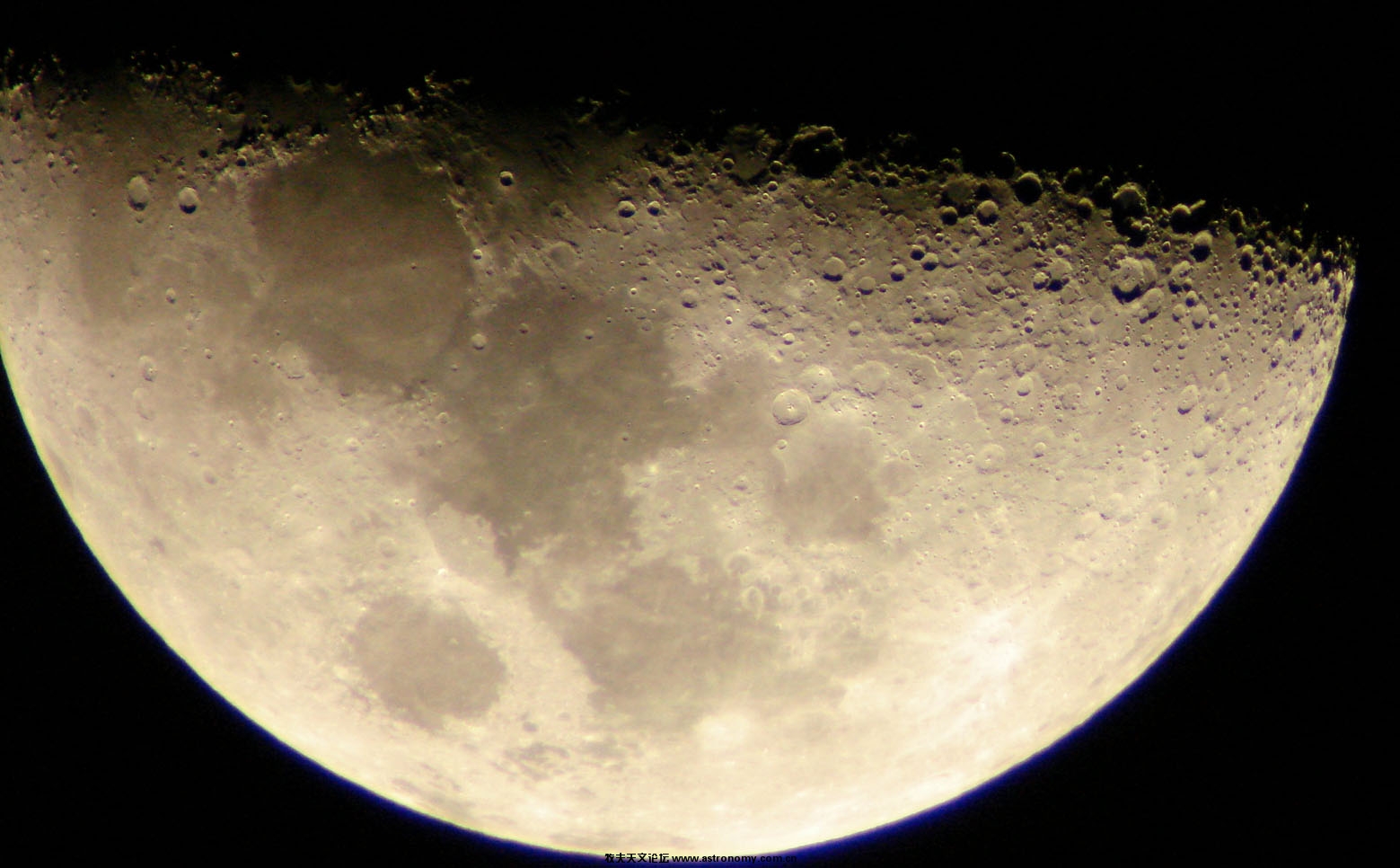 DSC08815.jpg