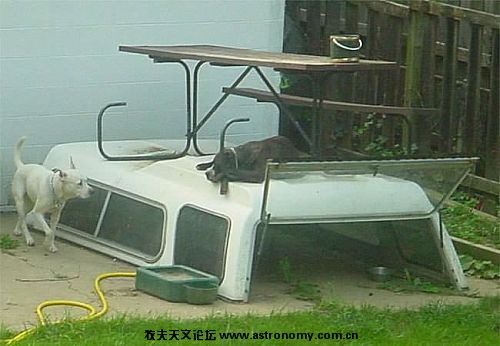 狗屋可以是这样.jpg