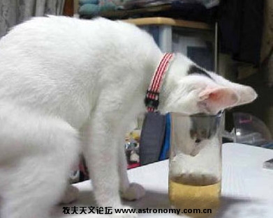 那个乌鸦就是这样喝水的.jpg