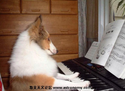 开始上课了.jpg