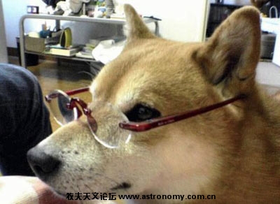 看看老伴.jpg