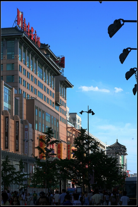IMG_8293.jpg