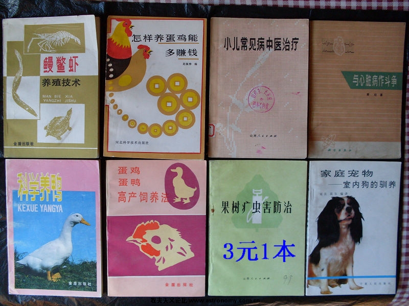 3元1本3.jpg