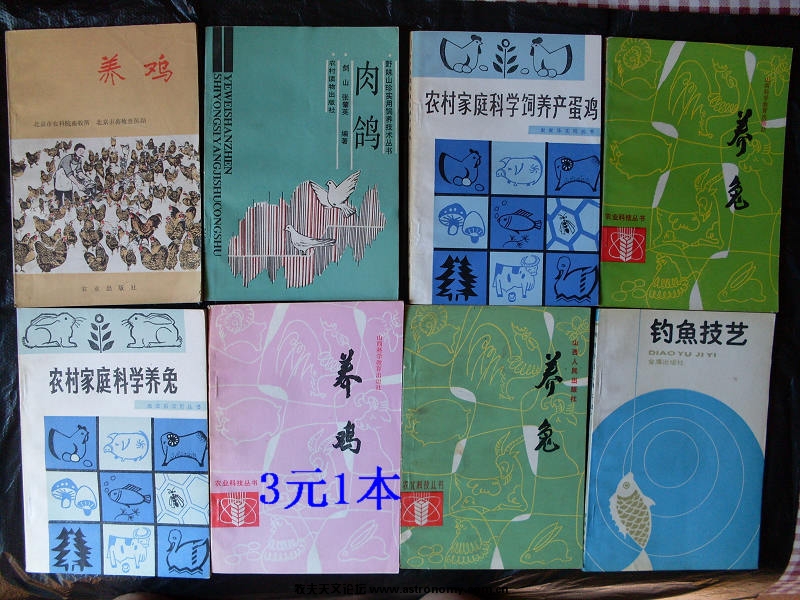 3元1本2.jpg